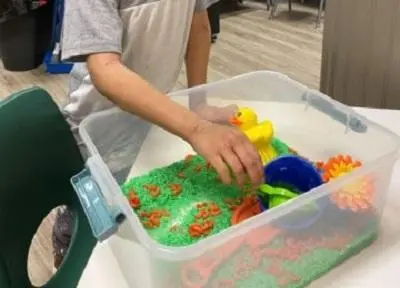 Sensory Box Fun