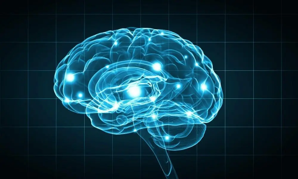 Why Autism Diagnoses Are Often Delayed