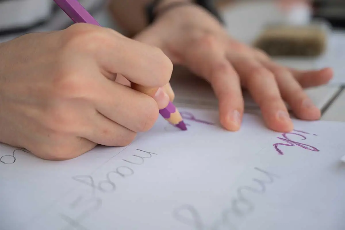 Handwriting Evaluations